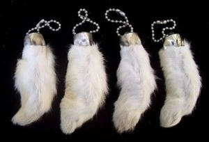 Rabbit's Foot Rabbit's Foot