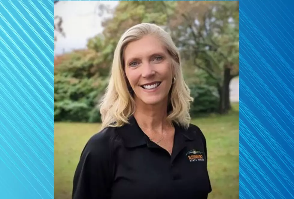 DNR Names Hendrickson Missouri State Parks Director