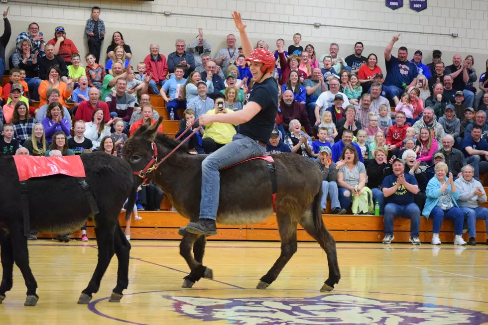 Donkey Basketball Planned for March 15 at Stover High School