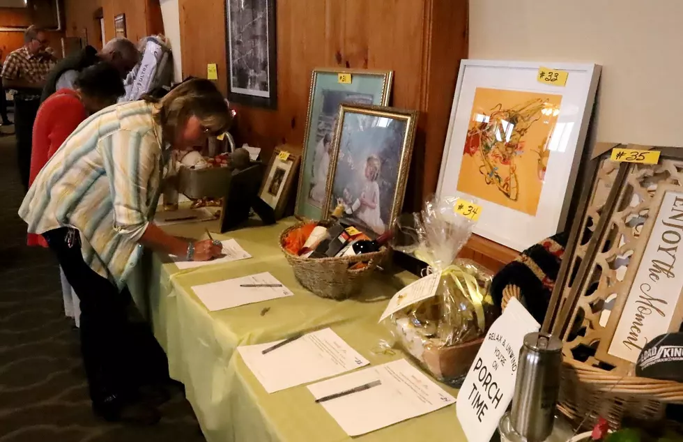 Sedalia Rotary Benefit Auction Scheduled for April 24